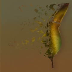 Digital illustration with a tropical leaf, with the effect of decay. Drawing in Golden-ochre tones.