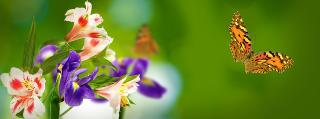 Plakat image of flowers and a flying butterfly