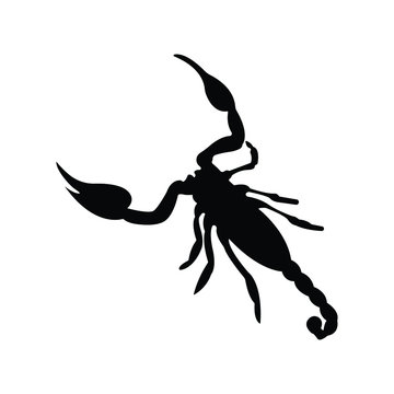 Vector illustration black silhouette of scorpion. Scorpio tattoo icon