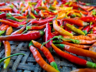 red hot chili peppers