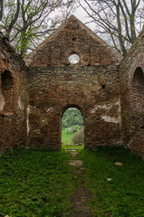 Ruiny cerkwi w miejscowości Krywe Bieszczady  - obrazy, fototapety, plakaty