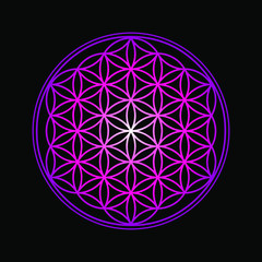 Flower of Life design image, vector illustration. Sacred geometry, symbol healing and balance.