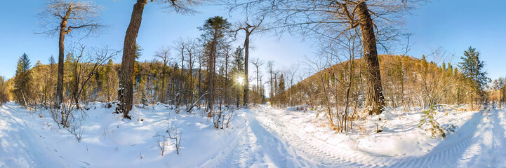 Road in the winter forest at dawn. Cylindrical panorama 360