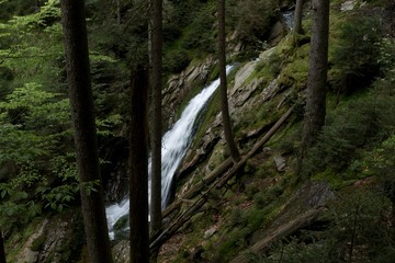 waterfall on a small creekin the forest