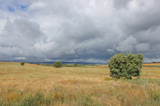 A view of the Maragateria region in spring with the Le&oacute;n mountains in the background, north-west Spain.