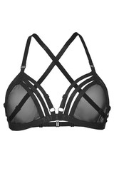 Detailed shot of a black harness made as a bra with satin straps and mesh cups. The fashion body harness is isolated on the white background.  