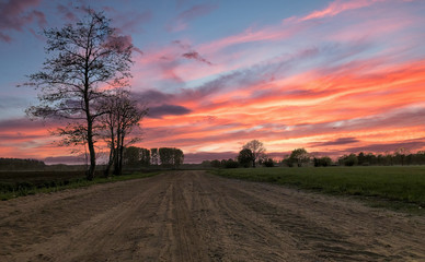 Fototapeta na wymiar A path with trees on the side of a dirt field under a dramatic and colorful sunset or sunrise. High quality photo