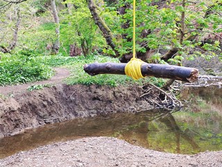 Close up details of a rope swing hanging from the branches of a mature tree in a forest. A small stick is tied with knot as a handle to swing over river below.