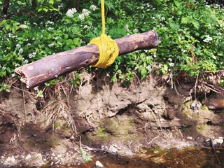 Close up details of a rope swing hanging from the branches of a mature tree in a forest. A small...