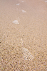 Fototapeta na wymiar Children's feet on the sand - beach of small stupas