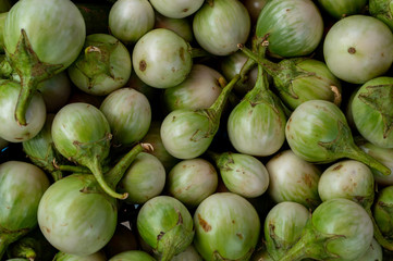 top view many eggplant group in thai market