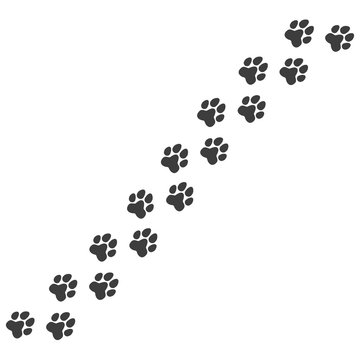 Cat or dog paw. Pet foot trail print
