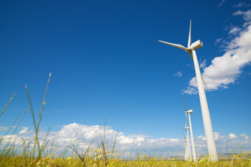 Renewable energy concept