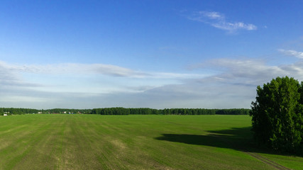 agricultural green field and blue sky with clouds
