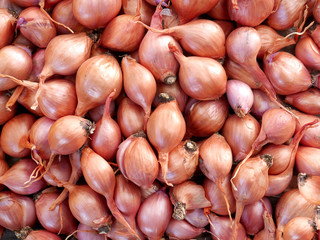 Fresh onions background. Ripe onions. Onions in market. Small bulbs for planting in the soil.