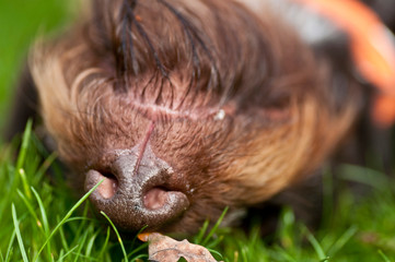 Fototapete bei efototapeten.de bestellen   