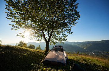 Summer camping in the mountains. Tourist white tent at campsite near big tree at sunrise in the morning. Tourism outdoor active lifestyle concept