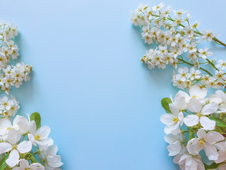 Obraz na płótnie Canvas Floral frame of small white flowers on a blue background. White flowering branches of cherry, apple, pear and bird cherry. Place for text and your beauty product. The basis for the card. Flat lay