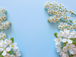 Floral frame of small white flowers on a blue background. White flowering branches of cherry, apple, pear and bird cherry. Place for text and your beauty product. The basis for the card. Flat lay