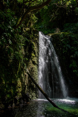 walk and discover the prego salto waterfall on the island of sao miguel, azores