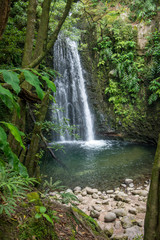 walk and discover the prego salto waterfall on the island of sao miguel, azores