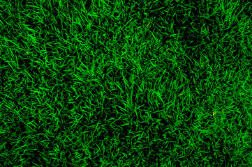 dark mowed  green grass  soccer field texture background