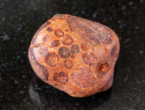 closeup of sample of natural mineral from geological collection - tumbled Bauxite rock on black granite background from Kostanay region, Arkalyk, Kazakhstan