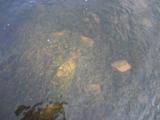 water flowing into the river