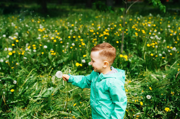 Little boy keep white dandelion in hands in city park