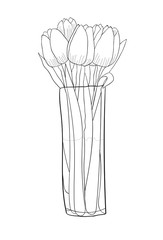 Tulips in the vase line art. Vector illustration hand drawn.