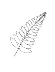 Black and white vector fern