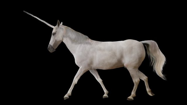 Unicorn walking realistic animation. Isolated video including alpha channel allows to add background in post-production. Element for visual effects.