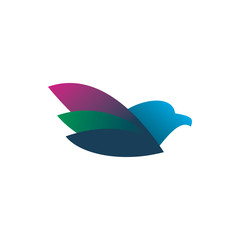 Fototapeta na wymiar creative full color bird wing logo design