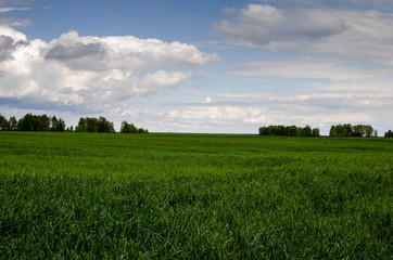 Obraz premium Clouds over the fields. Green grass field and grey blue sky