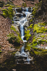 waterfall in the forest