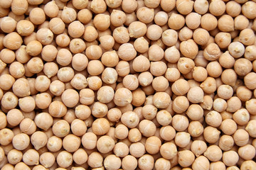 Chickpea seeds background, top view. Chick peas, or garbanzo beans