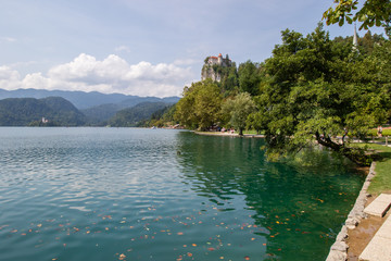Fototapeta na wymiar Lake Bled with a small Bled castle on the Rock surrounded by mountains covered with green forest. Slovenia, Bled.