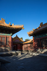 The palace museum