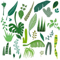 Hand draw of green leave on white background.