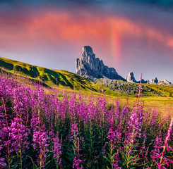 Obraz premium Adorable morning view of peak Ra Gusela, Averau - Nuvolau group from Passo di Giau. Wonderful summer scene of Dolomiti Alps, Cortina d'Ampezzo location, South Tyrol, Italy, Europe.