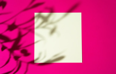 Advertising mock-up. White blank businesscards on bright pink background