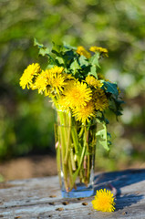 yellow flowers in a vase