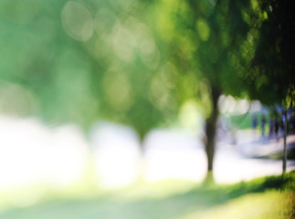 Bright blurred picture of green blurred trees and nature at daylight