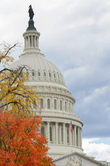 Obraz premium U.S. Capitol Dome and autumn foliage in a cloudy day - Washington D.C. United States of America