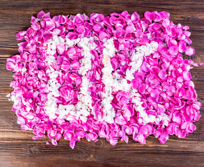 Pink Damask Rose flowers (Rosa damascena)