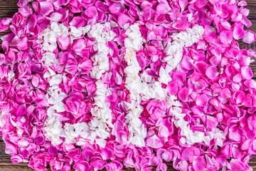 Obraz premium Pink Damask Rose flowers (Rosa damascena)
