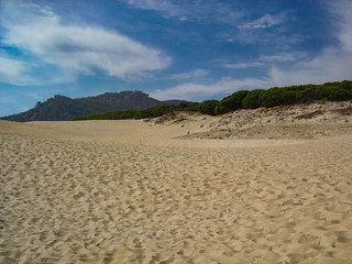 Natural trilogy (Beach, forest and mountains) in Bologna