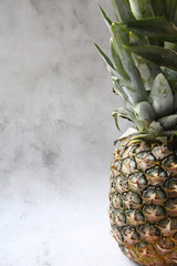 pineapple on the table © AMTM