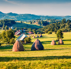 Splendid morning view of Rogojel village. Marvelous summer scene of Cluj County, Romania, Europe....