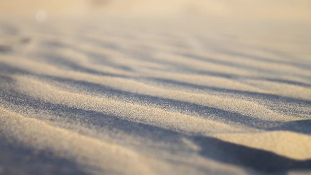 Slowmotion footage of sand grains in desert while the wind is blowing.